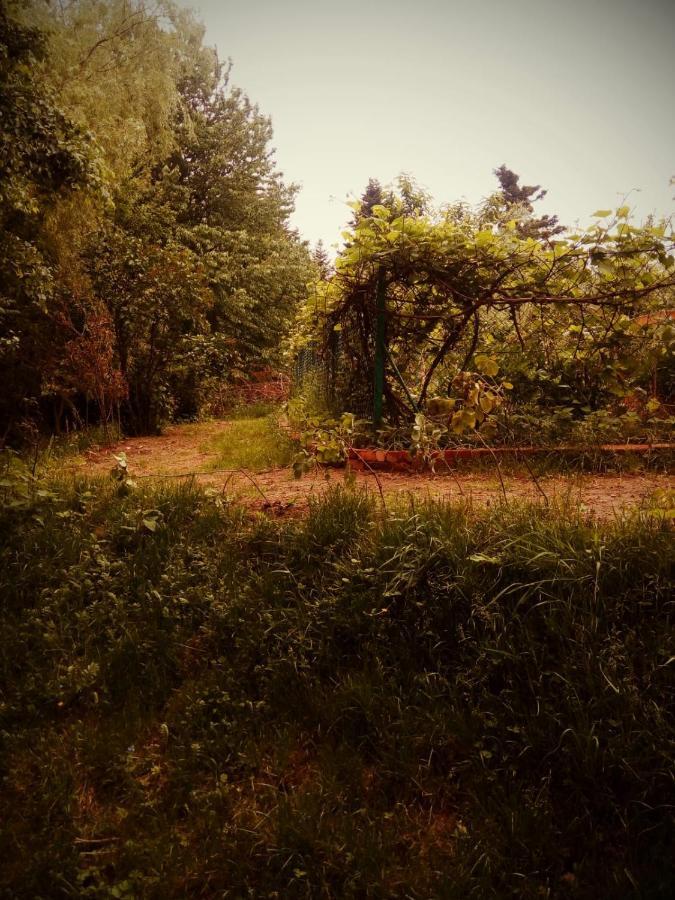 Agroturystyka U Babci 츠스호프 외부 사진
